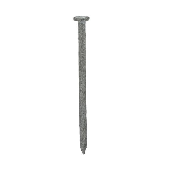 Common Nail, 2-1/2 in L, 8D, Steel, Galvanized Finish, 10.25 ga, 2730 PK
