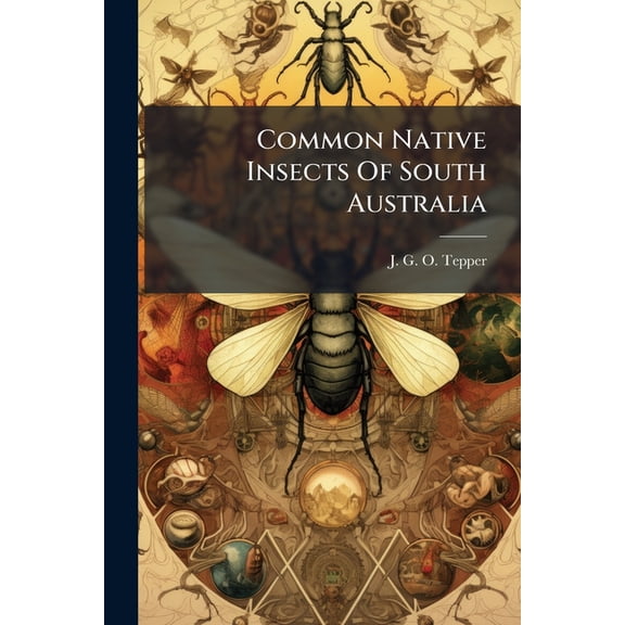 Common Native Insects Of South Australia : Lepidoptera, Or Butterflies And Moths, Part 2 (Paperback)