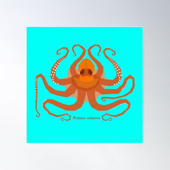 Common Octopus Geometric Art With Scientific Name And Turquoise Background Poster Wall Art, Modern Wall Decor For Living Room Bedroom, 30x30 UNFRAMED