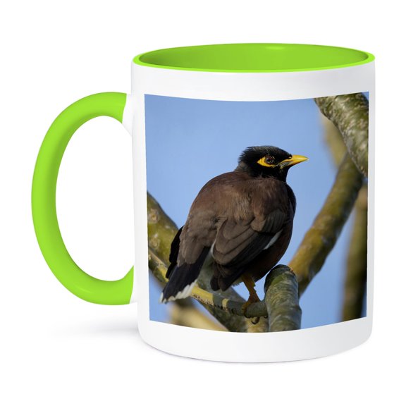 Common Or Indian Myna Bird, Waikoloa, Kona, Hawaii, 11oz Two-Tone Green Mug