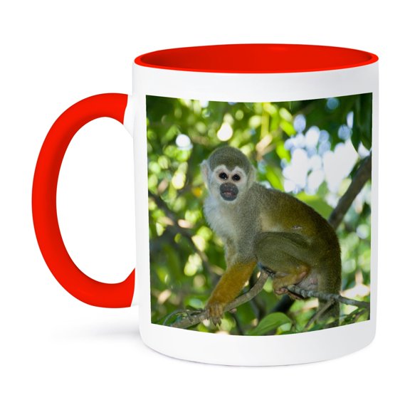 Common Squirrel Monkey, Rio Negro, Amazon, Brazil - Sa04 Ksc0010 - Kevin Schafer, 15oz Two-Tone Red Mug