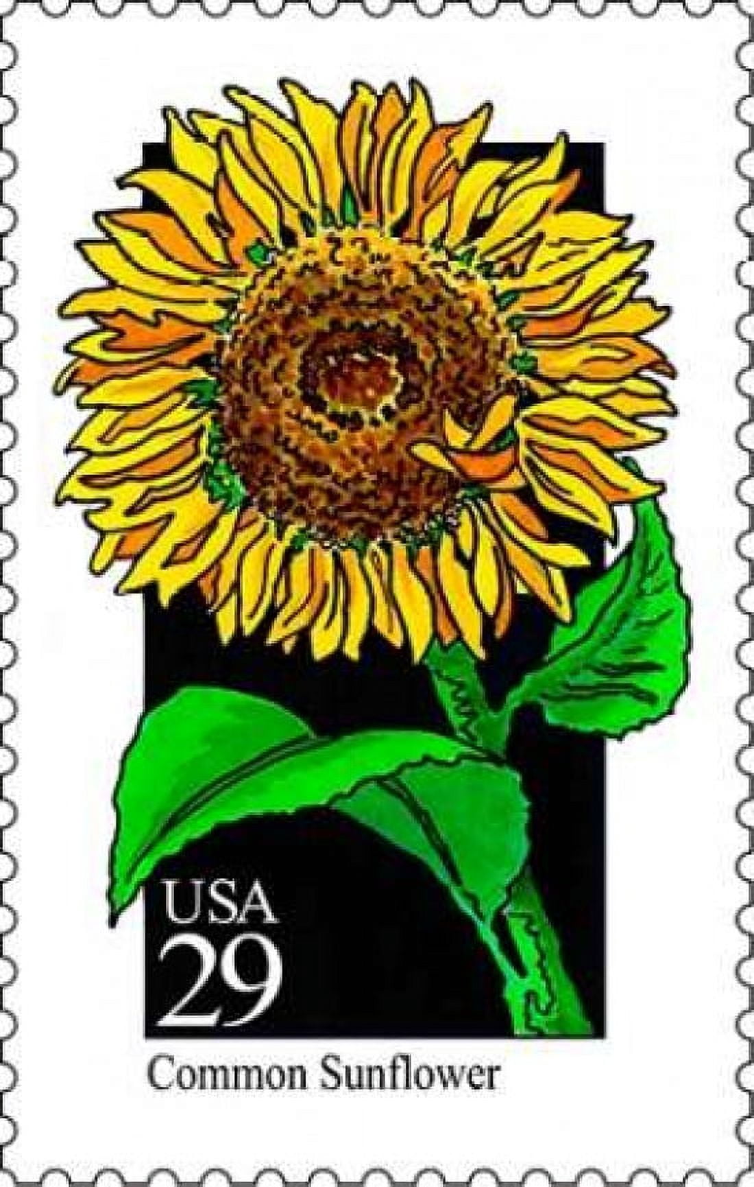 Common Sunflower Canvas Art - US POSTAL SERVICE (12 x 18)