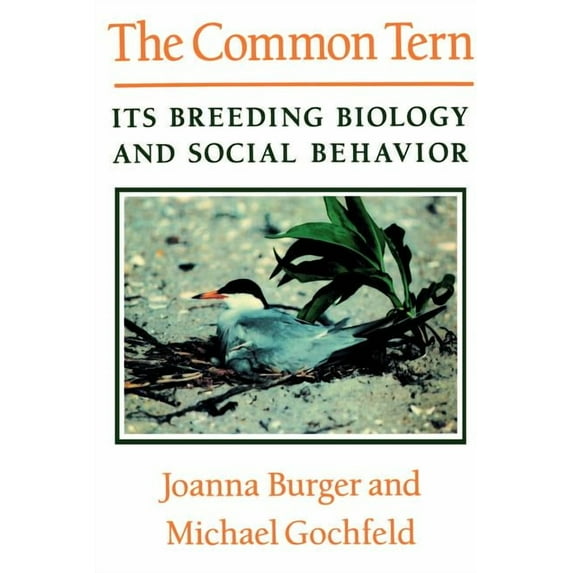 The Common Tern: Its Breeding Biology and Social Behavior (Paperback) by Dr. Joanna Burger, Michael Gochfield, Professor Michael Gochfeld