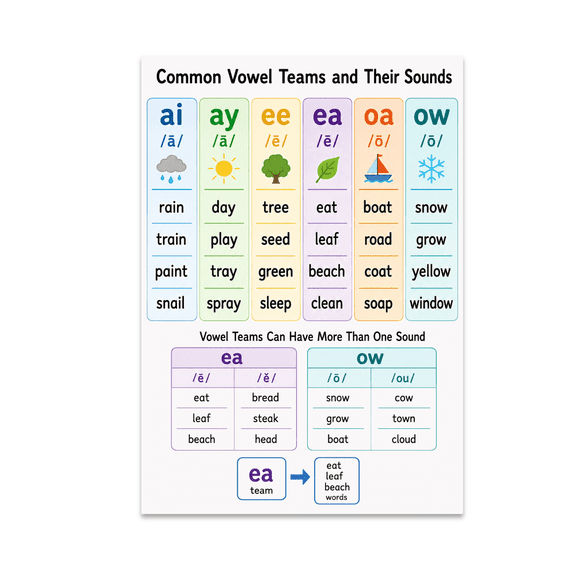 Common Vowel Teams and Their Sounds Educational Reference - 13x19 Poster Print