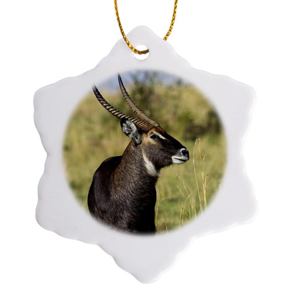3drose, Common Waterbuck Wildlife, Maasai Mara, Kenya - Af21 Aje0775 - Adam Jones, 3 inch Snowflake Porcelain Ornament