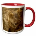 thumbnail image 1 of 3drose, Common Wombat, Marsupial, Australia-au01 Pox0109 - Pete Oxford, 15oz Two-tone Red Mug, 1 of 6