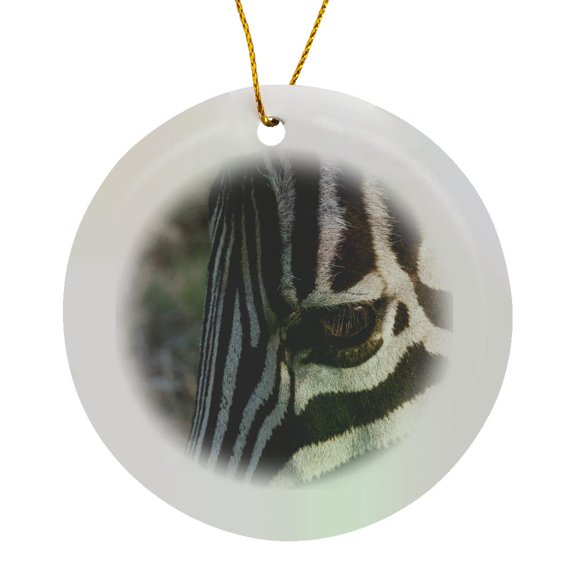 3drose, Common Zebra, Kapama Game Reserve, South Africa-af42 Spi0060 - Sergio Pitamitz, Circle Porcelain Ornament