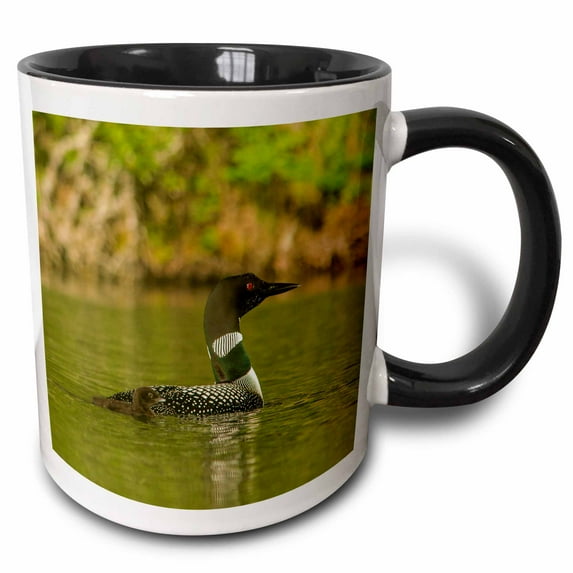Common loon with chick on a lake near Whitefish, Montana 15oz Two-Tone Black Mug mug-259577-9