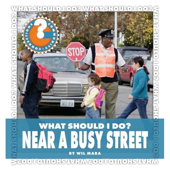 Pre-Owned What Should I Do? Near a Busy Street (Library Binding) 9781610800518