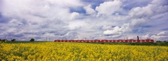 Commuter train passing through oilseed rape (Brassica napus) fields Baden-Wurttemberg Germany Canvas Art - Panoramic Images (36 x 13)
