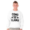 thumbnail image 1 of Como Se Llama Alpaca Animal Humor Unisex Plus Fleece Graphic Sweatshirt Brisco Brands 2X, 1 of 5