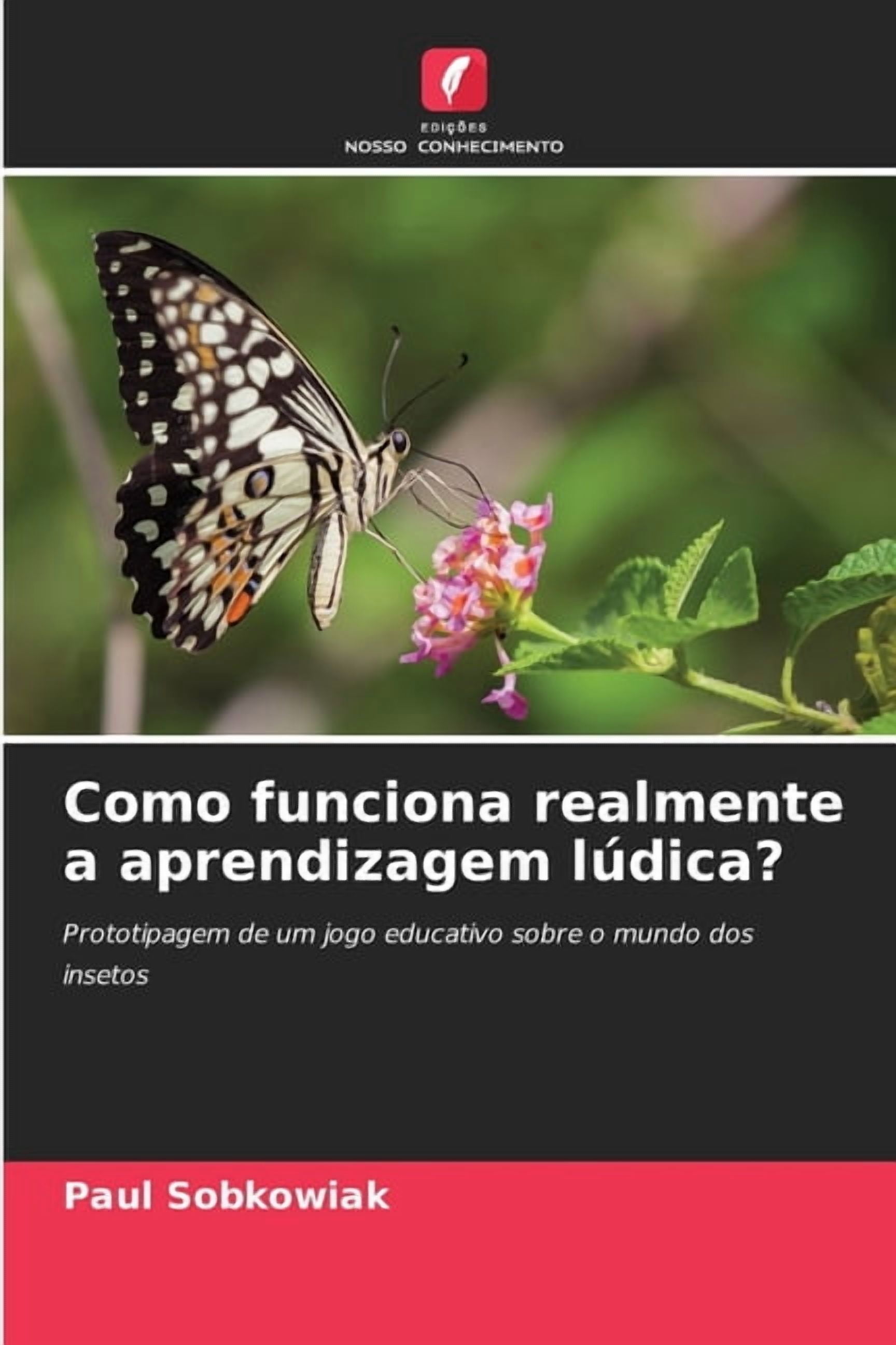 Como funciona realmente a aprendizagem lÃºdica?, (Paperback)