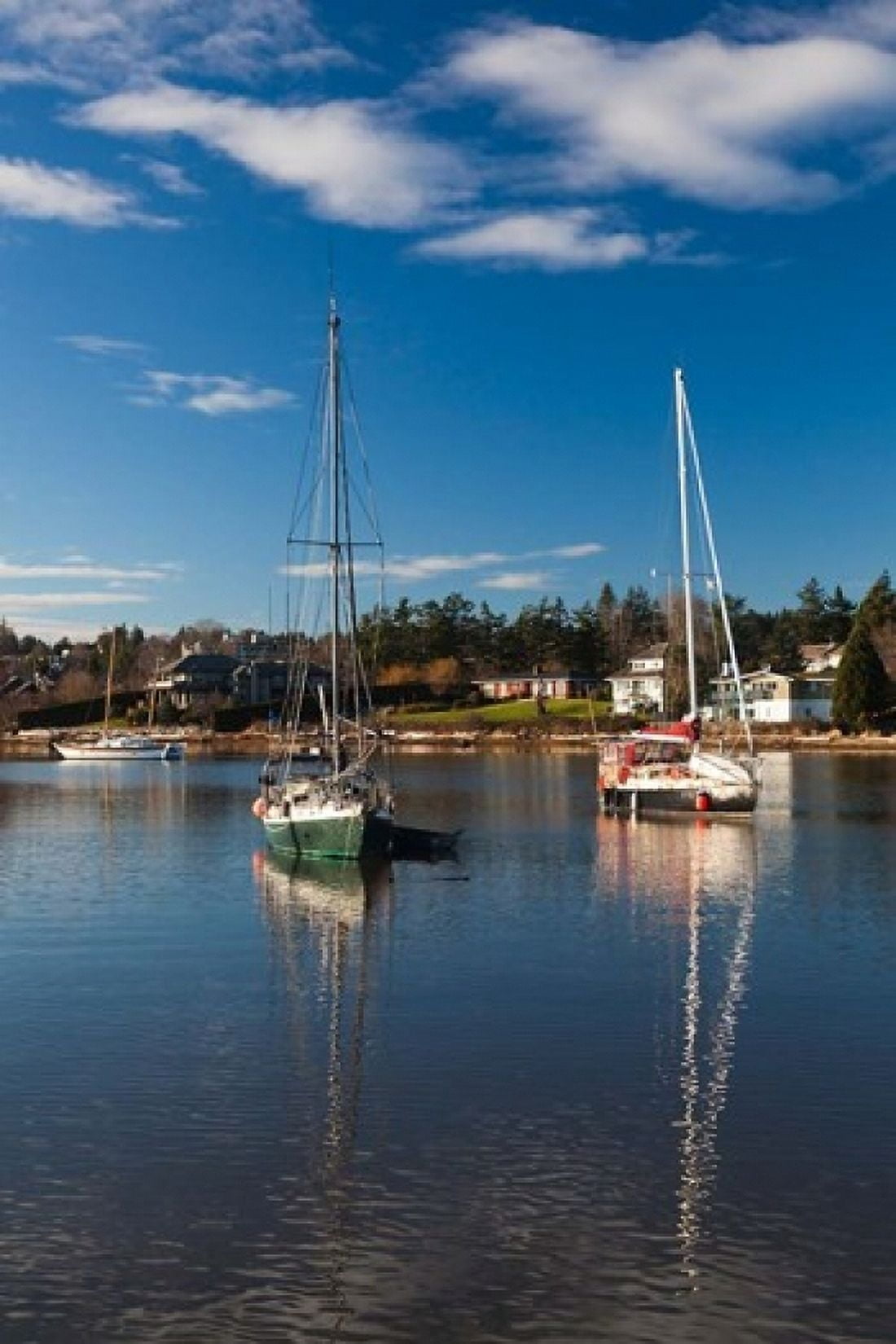 Comox Harbor Vancouver Island British Columbia Canada Canvas Art - Walter Bibikow DanitaDelimont (24 x 36)