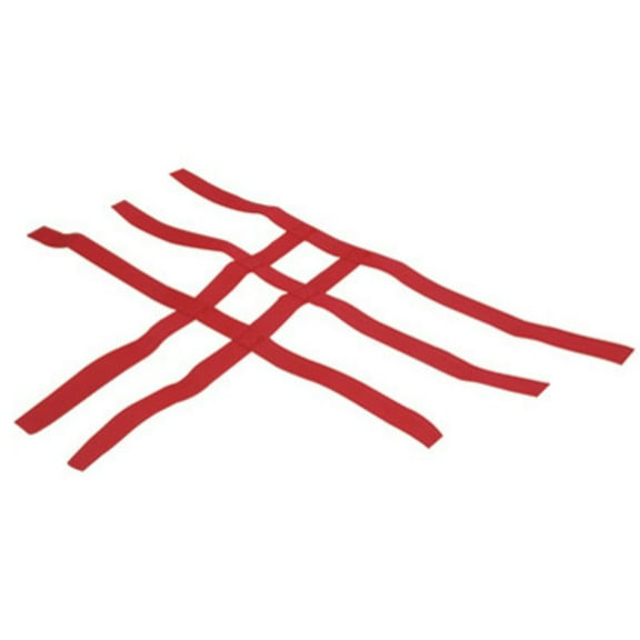 Comp Series Nerf Bars Replacement Webbing Red for Can-Am DS650 BAJA X 2007