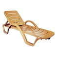 thumbnail image 1 of Compamia Sunrise Pool Chaise Lounge in Teak Brown, 1 of 2