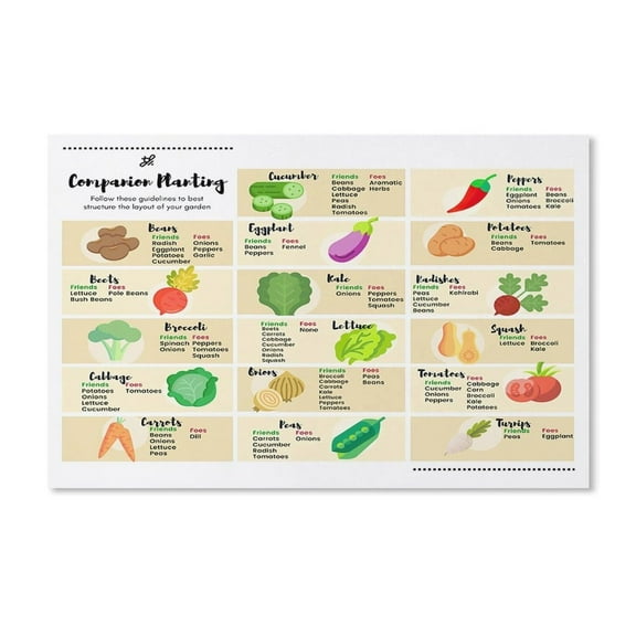 Companion Planting Chart Posters Plantings Types Reference Guide Kitchen , Classroom , Canvas Wall Decoration, Classroom Mural