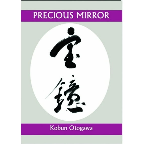 Companions for the Journey Precious Mirror, (Paperback)