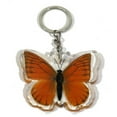 thumbnail image 1 of Company BTK103 Real Bug Orange Albatross Butterfly Key Chain, 1 of 1