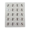 thumbnail image 1 of Compass Board – 20-Unit Magnetic Field Learning Tool for Classroom Science Labs, 1 of 1