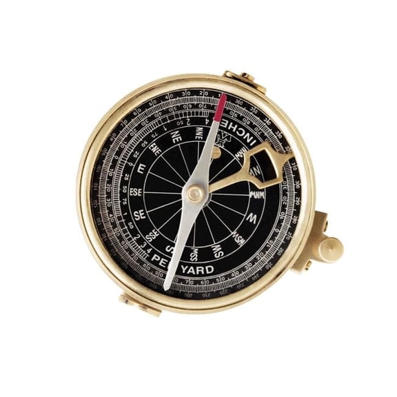 Compass Poster Print