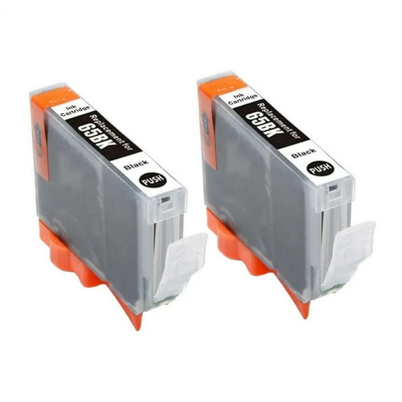 Compatible CLI-65 CLI 65 Ink Cartridge Replacement for Canon PIXMA Pro-200 Pro 200 Printer (2 Black)
