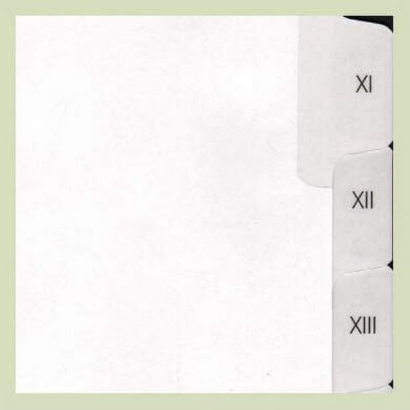 Roman Numeral XI-XX Letter Size Side Tab Dividers, 20 Count, 2/Sets