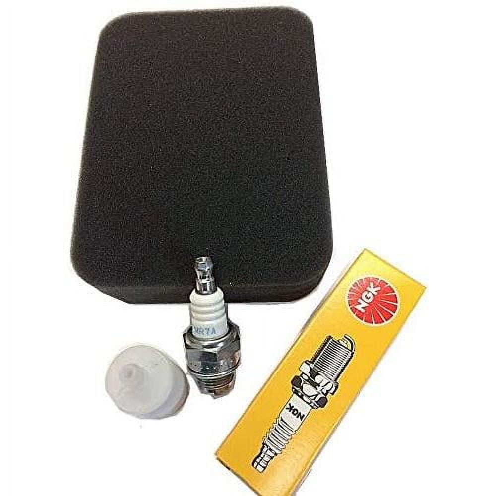 Compatible With 150BT, 350BT Leaf Blower Tune Up Kit, Includes Air