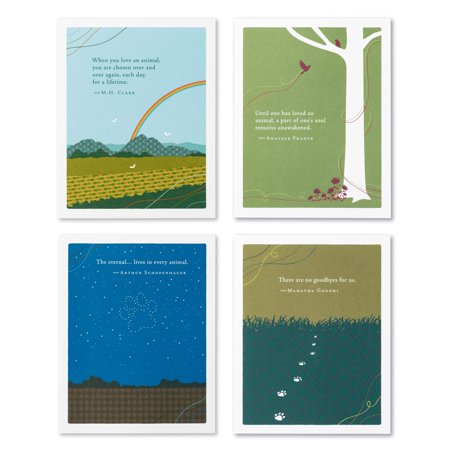 Compendium Positively Green 4-Pack of Pet Sympathy Cards Assorted (Four Different Designs, One Card Each, with Envelopes)