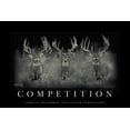 thumbnail image 1 of Competition Motivational Whitetail Deer Print by Robert King, Trophy Bucks, Giant Bucks, Buck Print, Deer Poster, Racks, Cabin Woodland, 1 of 4