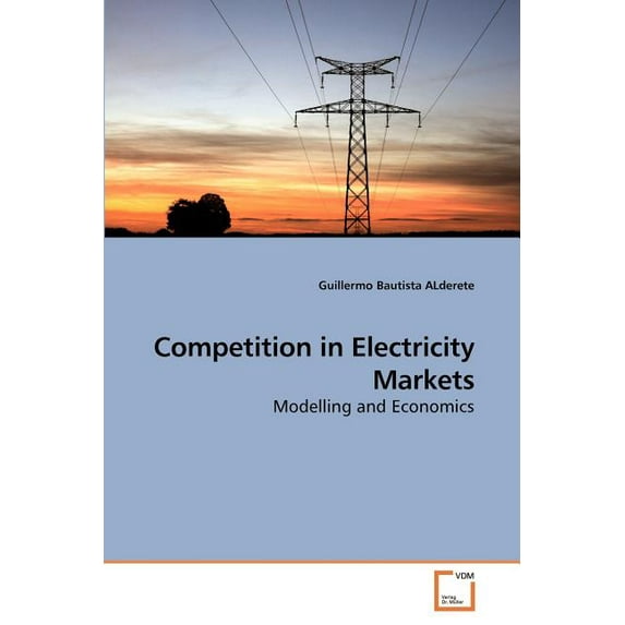 Competition in Electricity Markets (Paperback)