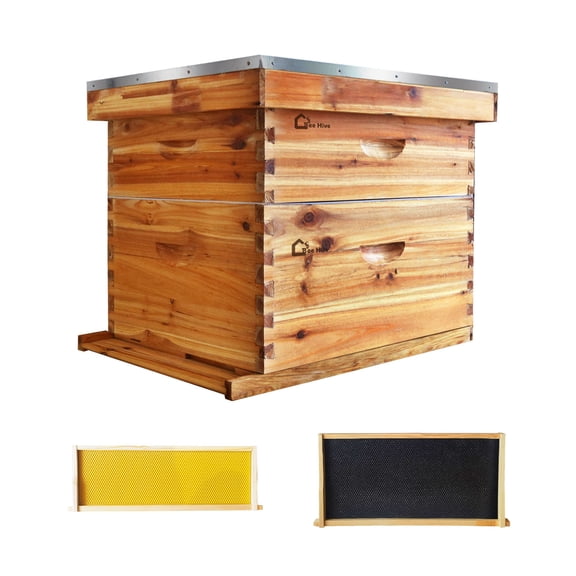 Complete 10-Frame Bee Hive Starter Kit | 1 Deep & 1 Medium Box with Beeswax Coated Frames for Beginners