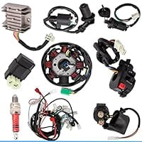 Complete ATV Wiring Harness Kit for 4-Stroke 150cc 200cc 250cc 300cc Quad Bike Go Kart, Includes CDI Stator Coil Solenoid Relay Spark Plug