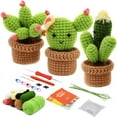 Complete Crochet Kits for Beginners, DIY Potted Cactus Crochet Kit with