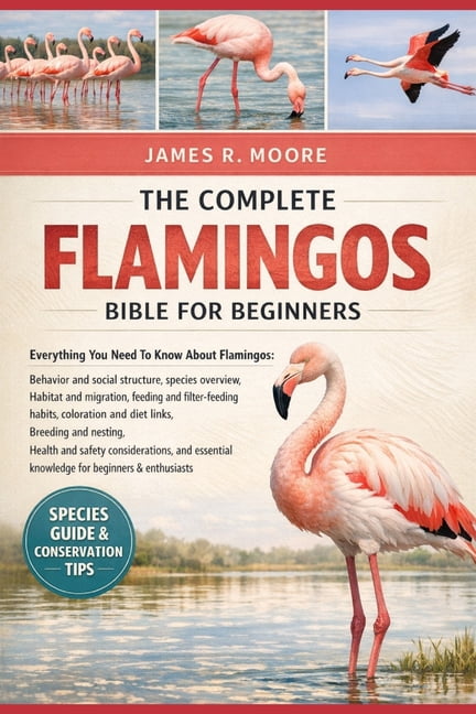 The Complete Flamingos Bible for Beginners: Everything You Need To Know About Flamingos: Behavior and social structure, , (Paperback)