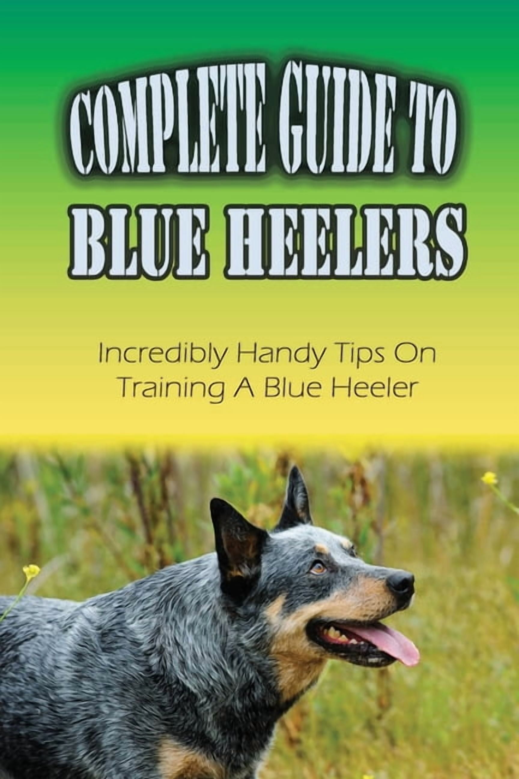 Complete Guide To Blue Heelers: Incredibly Handy Tips On Training