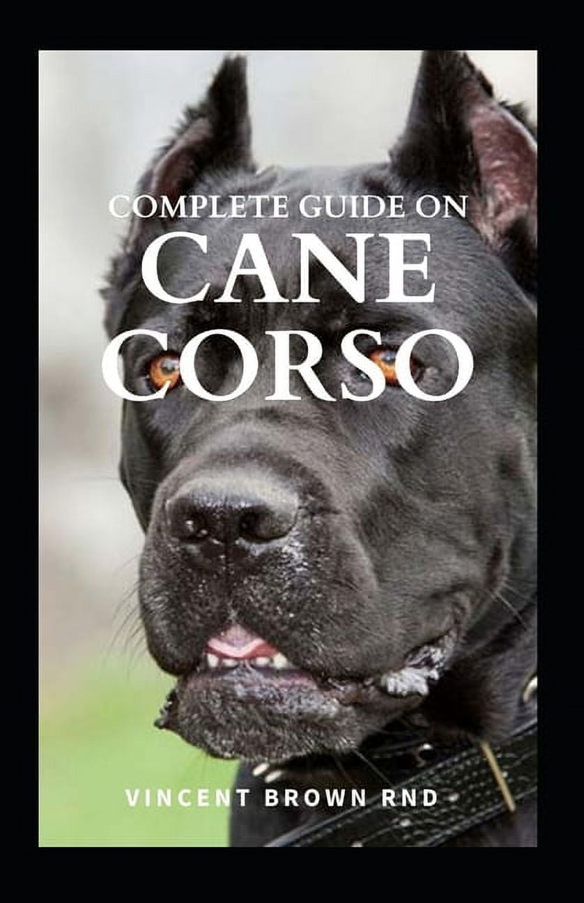 Complete Guide on Cane Corso All You Need To Know About Grooming