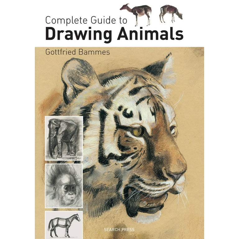  The Ultimate Beginner's Guide to Drawing: Learn to Draw,  Sketch, and Render Objects, Fruits, Animals, and Perspective, with  Step-by-Step Instructions: 9798871571460: Publishing, Kytefox: Books