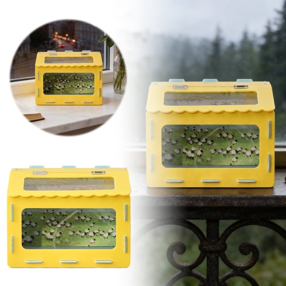 Complete Habitat Basic Terrarium Kit for Small Amphibians and with Natural Decorations