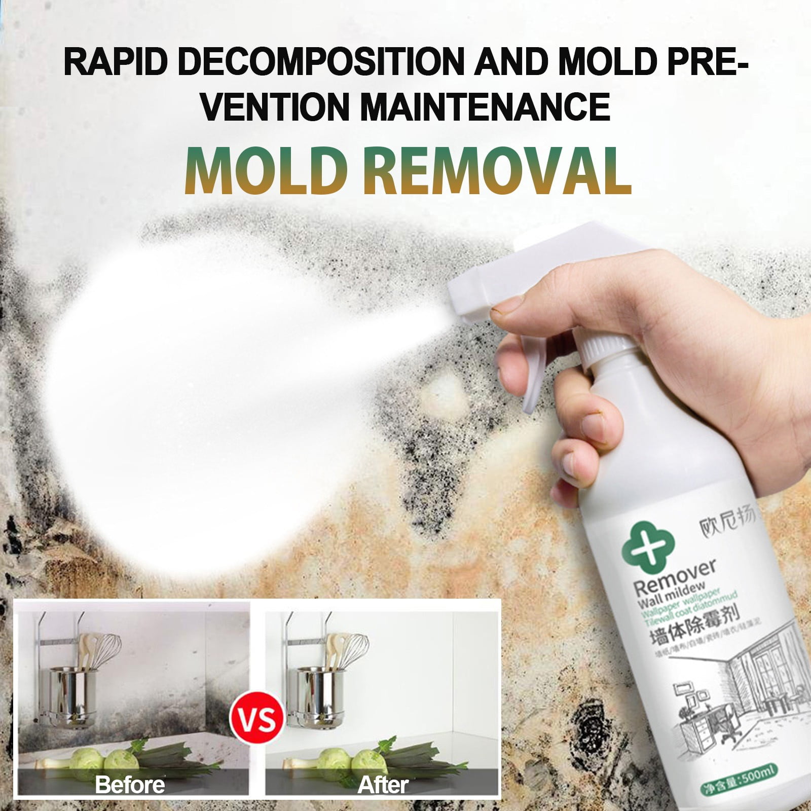 Mold Kill, Clean and Prevent Starter Bundle | 2.5 & 1 Gallon