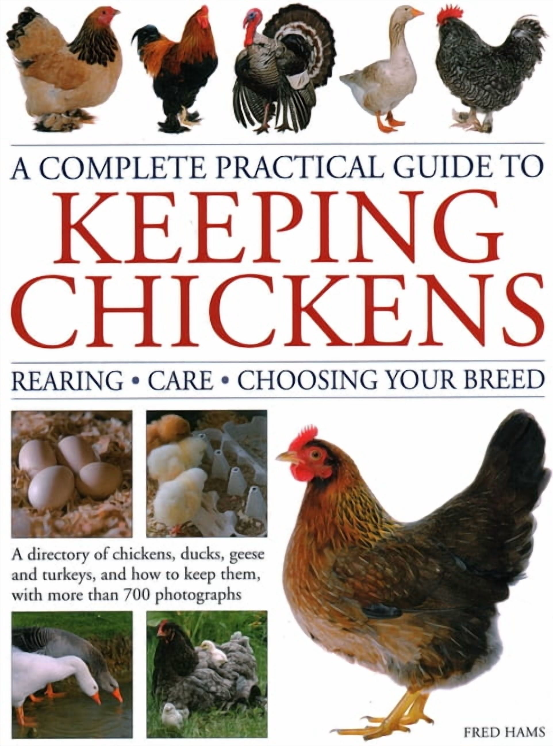 A Complete Practical Guide to Keeping Chickens : A Directory of ...