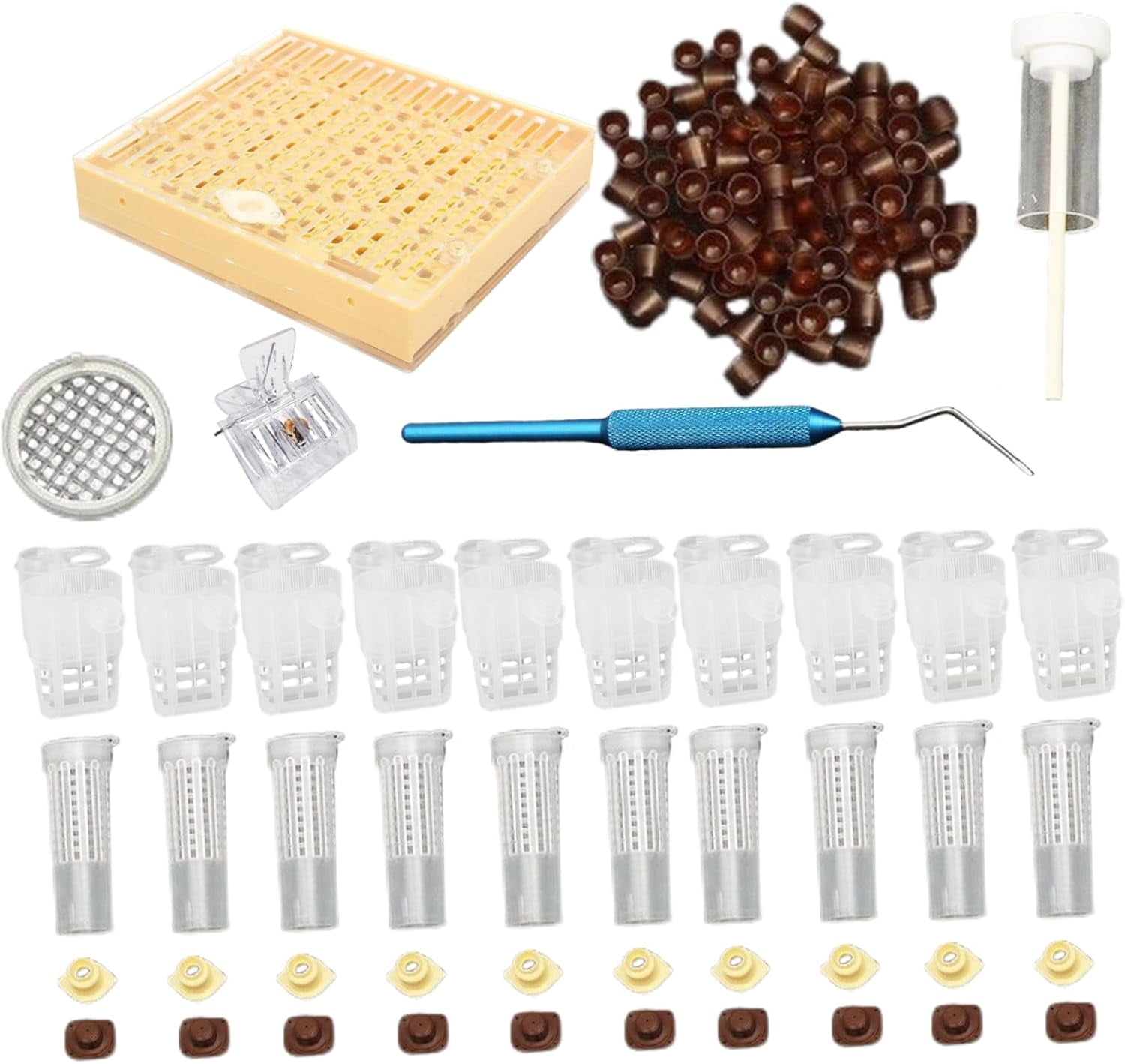 Complete Queen Rearing Kit, Professional Beekeeping Starter Set with ...