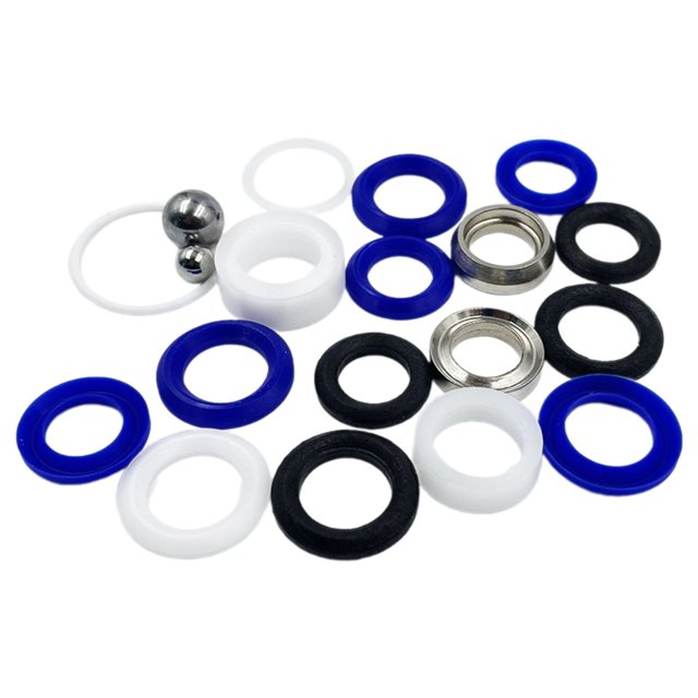 Complete Repair 244194 Pumps Repair Packing Valves Kit for Airless