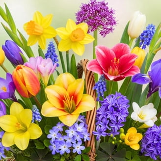 wild flower seeds for shade Partial Shade Wildflower Seed Mix main image 1
