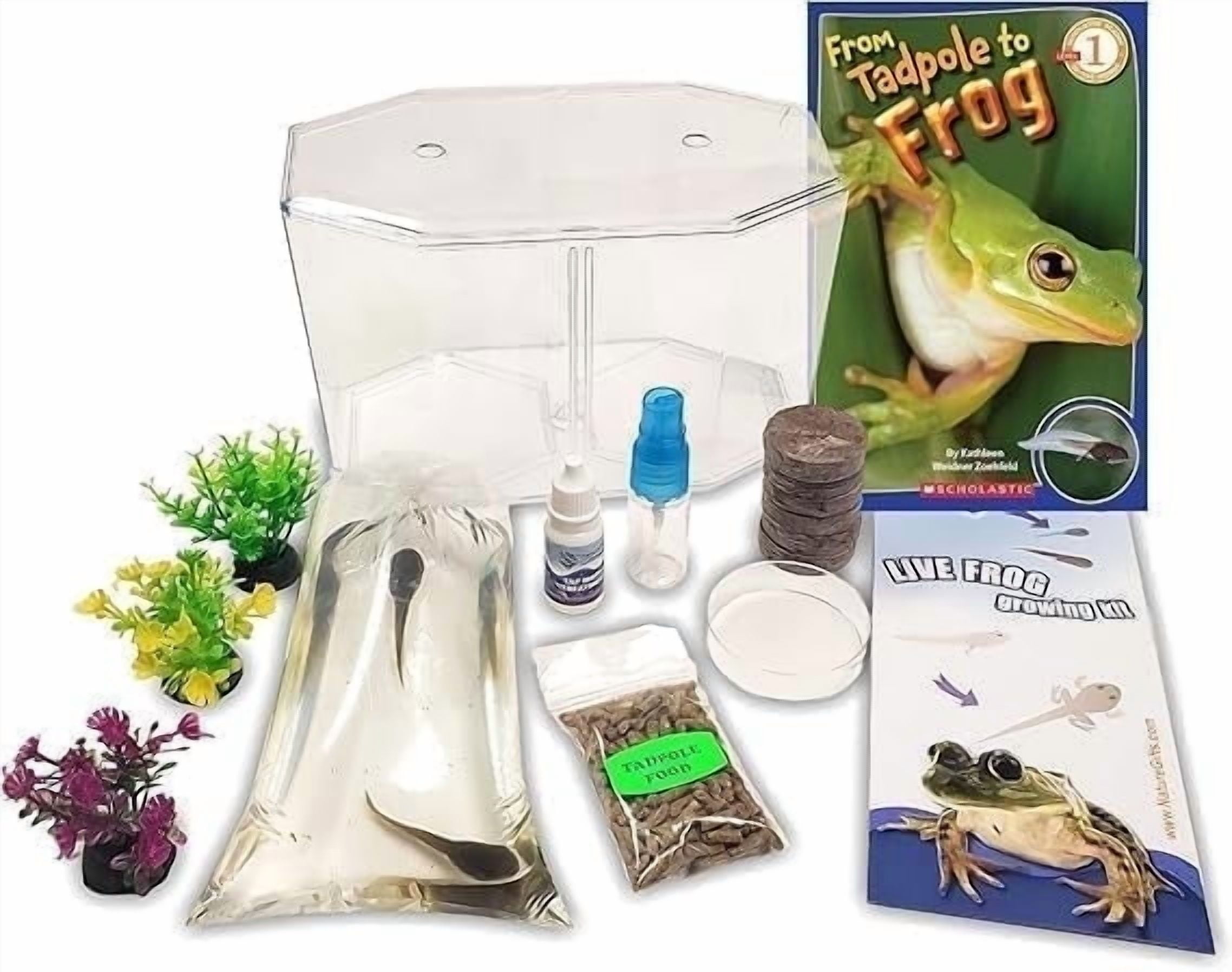 Nature Gift Store Live Tadpole to Frog Kit, Complete Habitat with