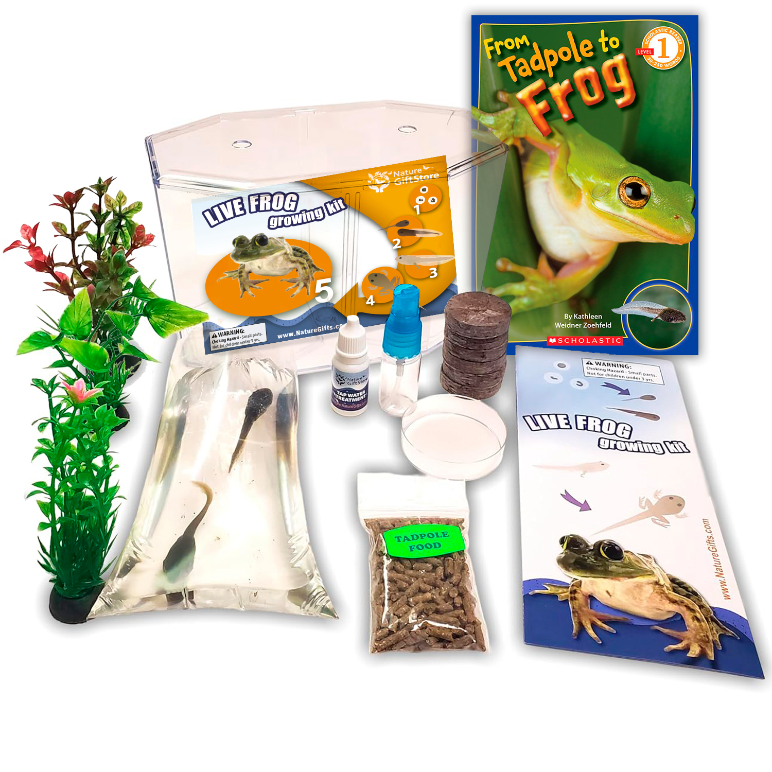 Nature Gift Store Live Tadpole to Frog Kit, Complete Habitat with