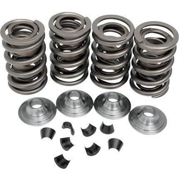 Complete Valve Spring Kit - .415in. Lift