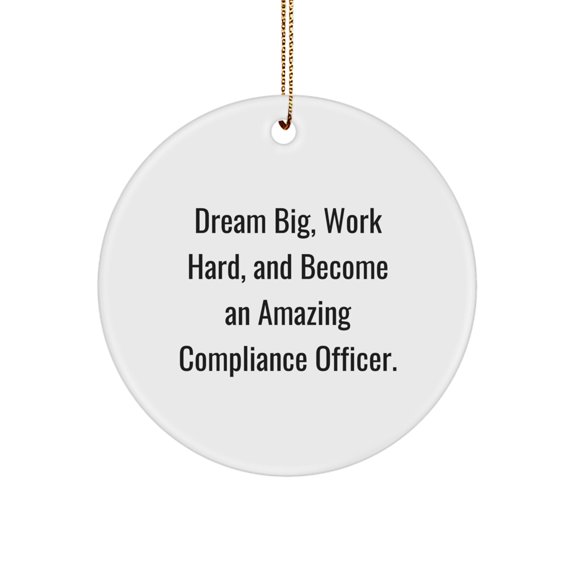 Compliance Officer Gifts: Funny Quote Inspired Circle Ornament, Gifts from Friends, Family, or Coworkers for Compliance Officer, Christmas Unique Gifts for Men or Women