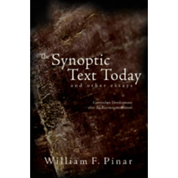 Complicated Conversation: The Synoptic Text Today and Other Essays (Paperback)