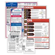 ComplyRight Federal, State and Restaurant English Labor Law Poster Set, Mississippi E50MSREST