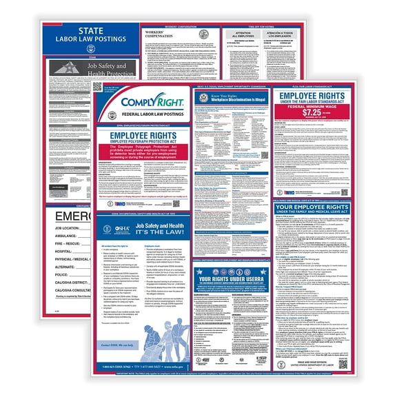 ComplyRight Federal and State Labor Law Poster Set (English) Arizona (E50AZ)